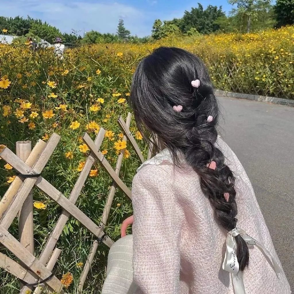 蟾蜍之路